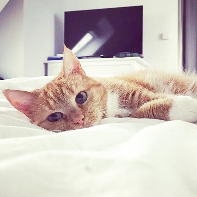 Happy Brückentag An alle die heute frei haben Genießt euer laaaaanges Wochenende und all diejenigen die arbeiten müssen Es ist fast geschafft Happy Brückentag An alle die heute frei haben Genießt euer laaaaanges Wochenende und all diejenigen die arbeiten müssen Es ist fast geschafft