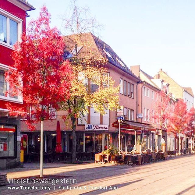 sonnige Herbsttage   auf der Kölner Straße  So lieben wir den Herbst